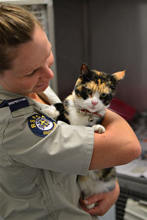 Animal welfare inspector