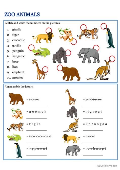 Animals vocabulary worksheets