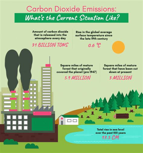 Animated Infographic Template