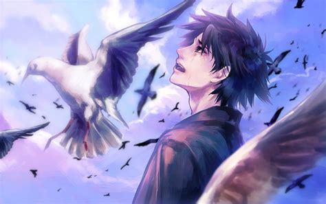 Anime Pigeon Image 3