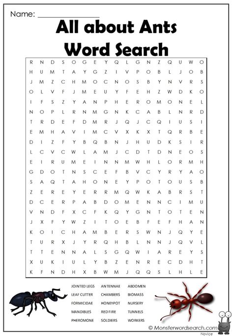 Ant Word Search