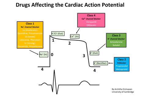 Types of Anti-Arrhythmic Medications