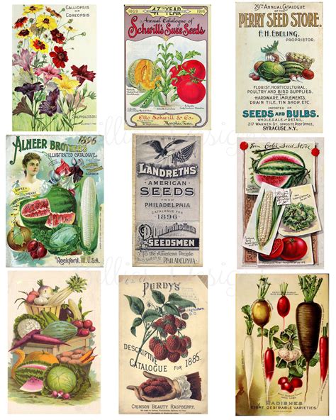 Antique Seed Packets