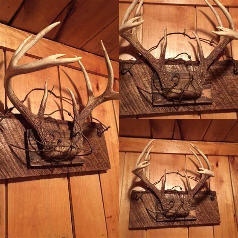 Antler decorative pieces