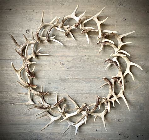 A collection of antler designs