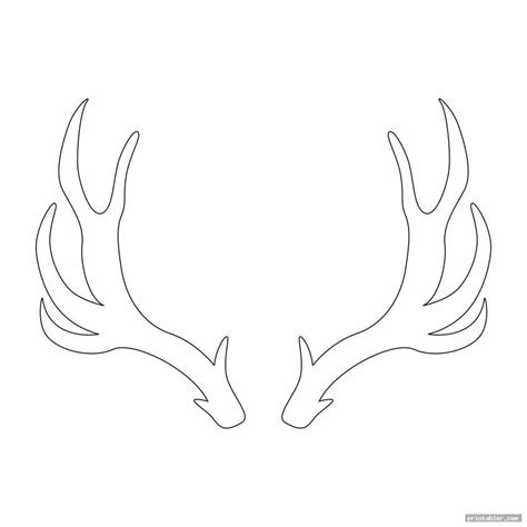 Various antler templates