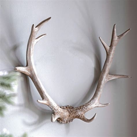 Antler wall decor and hangings