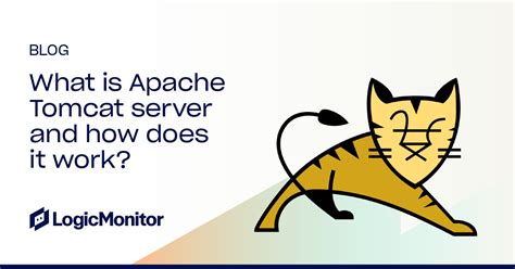 Apache Tomcat Server