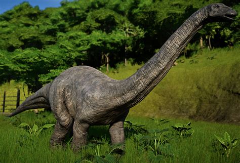 Apatosaurus