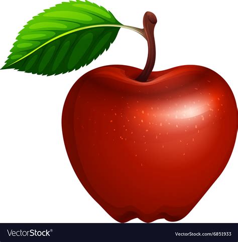 Apple with Leaves Illustration Template