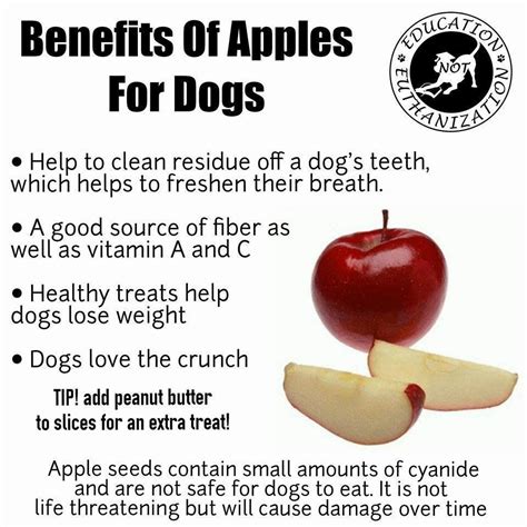 Apples for dogs