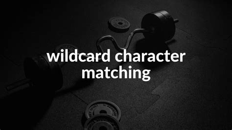 Using Application.Match with Wildcards