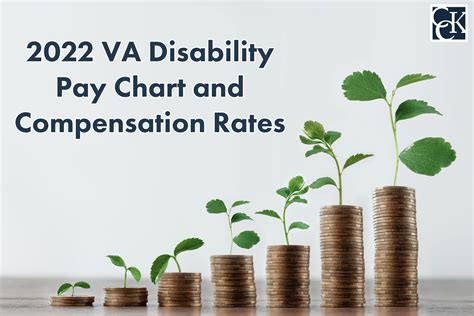 Apply for VA Disability Benefits and Food Stamps