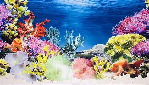 Aquarium Background Prints