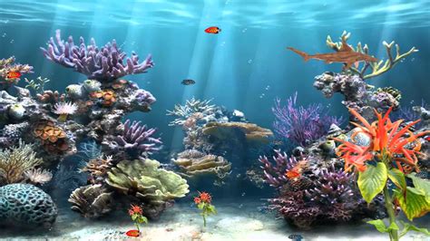 A stunning aquarium background with a coral reef design