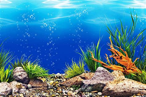 A stunning aquarium background with a coral reef design