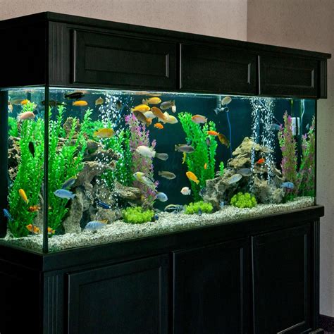 A beautifully decorated aquarium with a variety of plants and decorations