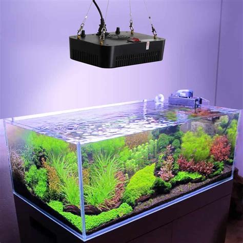 Aquarium Lighting