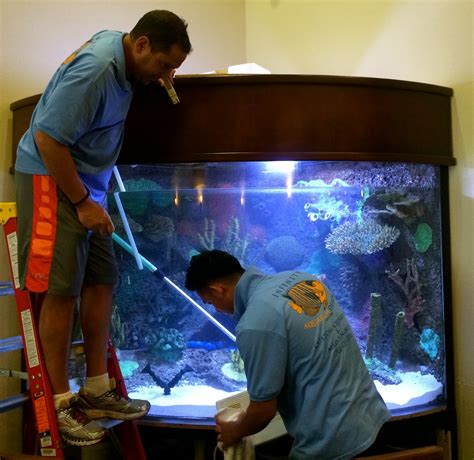 Aquarium maintenance tasks