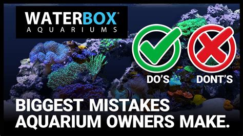 Common aquarium care mistakes