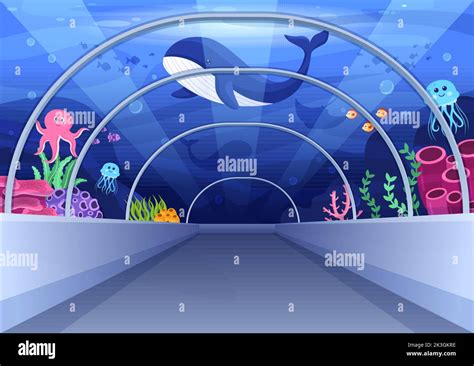 Aquarium template examples