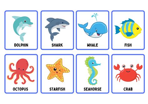 Aquatic Animal Flashcards