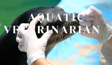 Aquatic Veterinarian