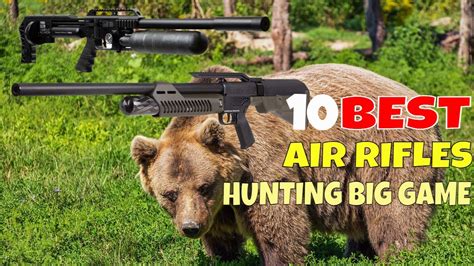 AR Rifles for Hunting Large Game