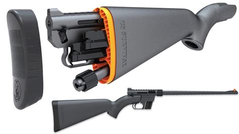 AR Rifles for Survival