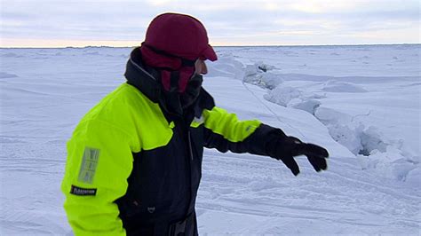 A photo of a polar bear in the Arctic region