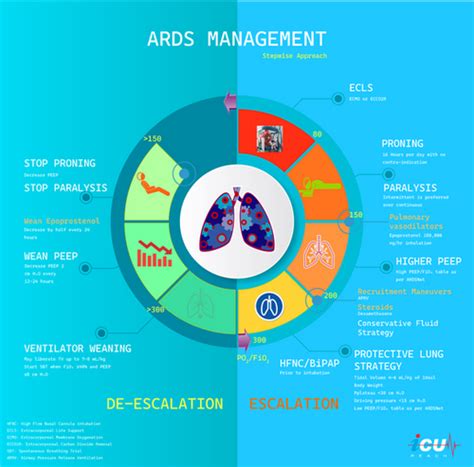 ARDS Management Strategies