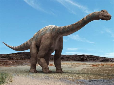 Argentinosaurus