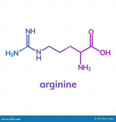 Arginine structure illustration