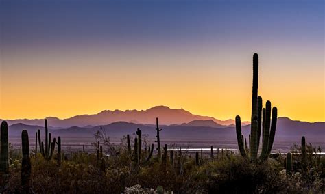 Arizona Food Stamp Deposit Dates