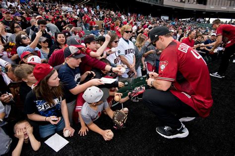 Arizona Diamondbacks Fans