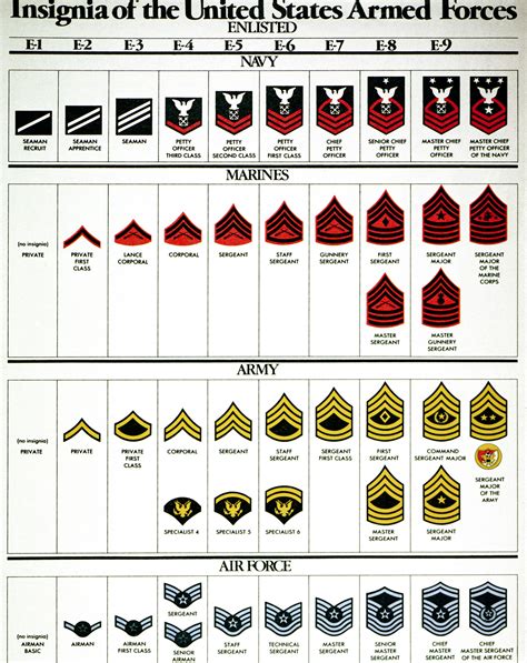 Armed Services Ranks Chart