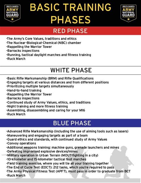 Army Basic Training Phases