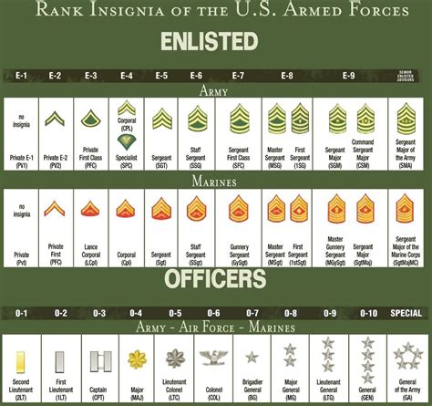 Army Basic Training Ranks