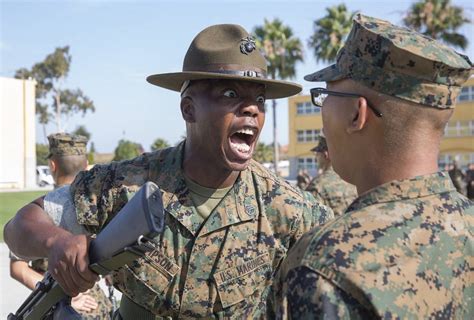 Army Boot Camp Drill Instructors