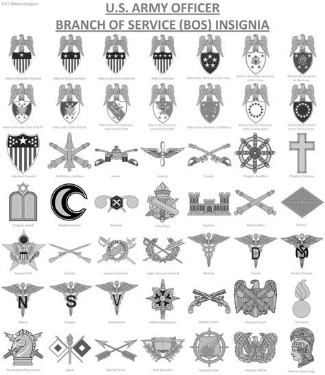 Army Career Officer Badge History