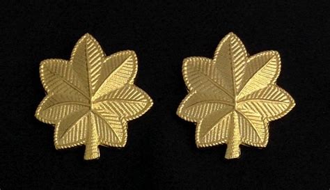 Army Career Officer Badge Oak Leaf Cluster