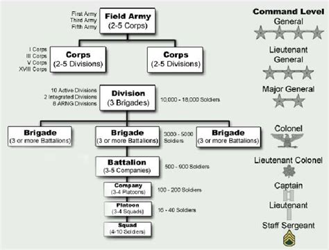 Organization of Army Infantry Units