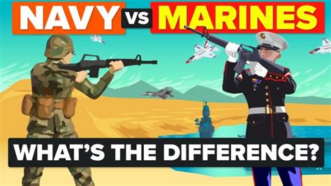 US Army and US Marines Comparison