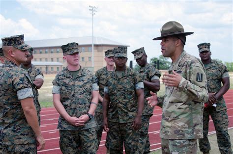 US Army and Marine Corps training