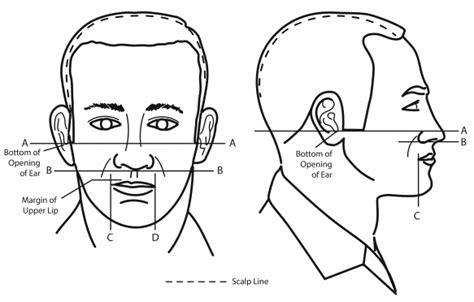 Army Mustache Regulations 2024