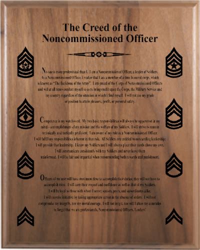 Army NCO Retirement 10