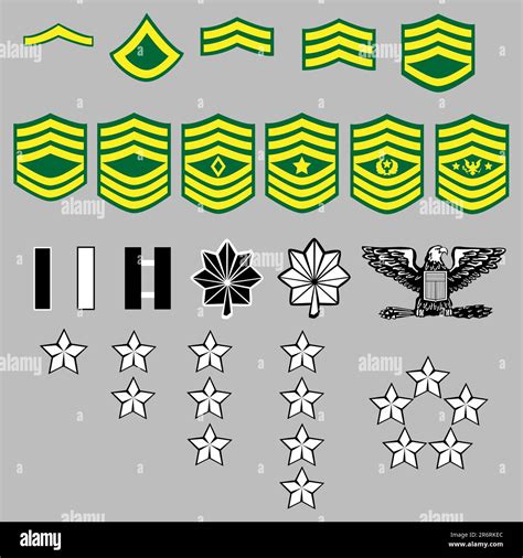 Army Officer Rank Insignia