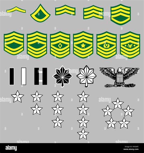 Army Ranks and Insignia