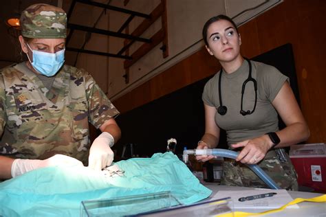 Army Reserve Health Corps Gallery Image 6