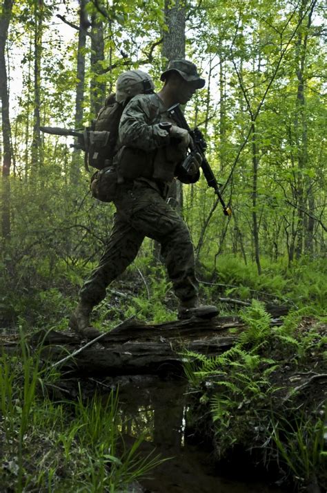 Army Scout Sniper operations training